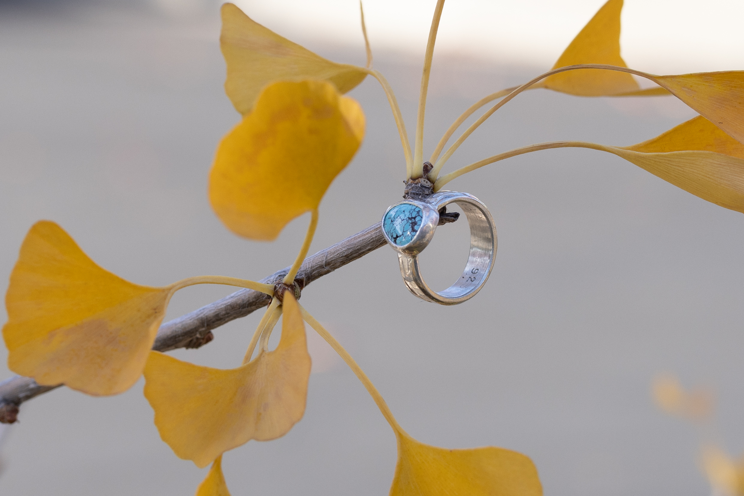 Silver ring hanging in tree.
