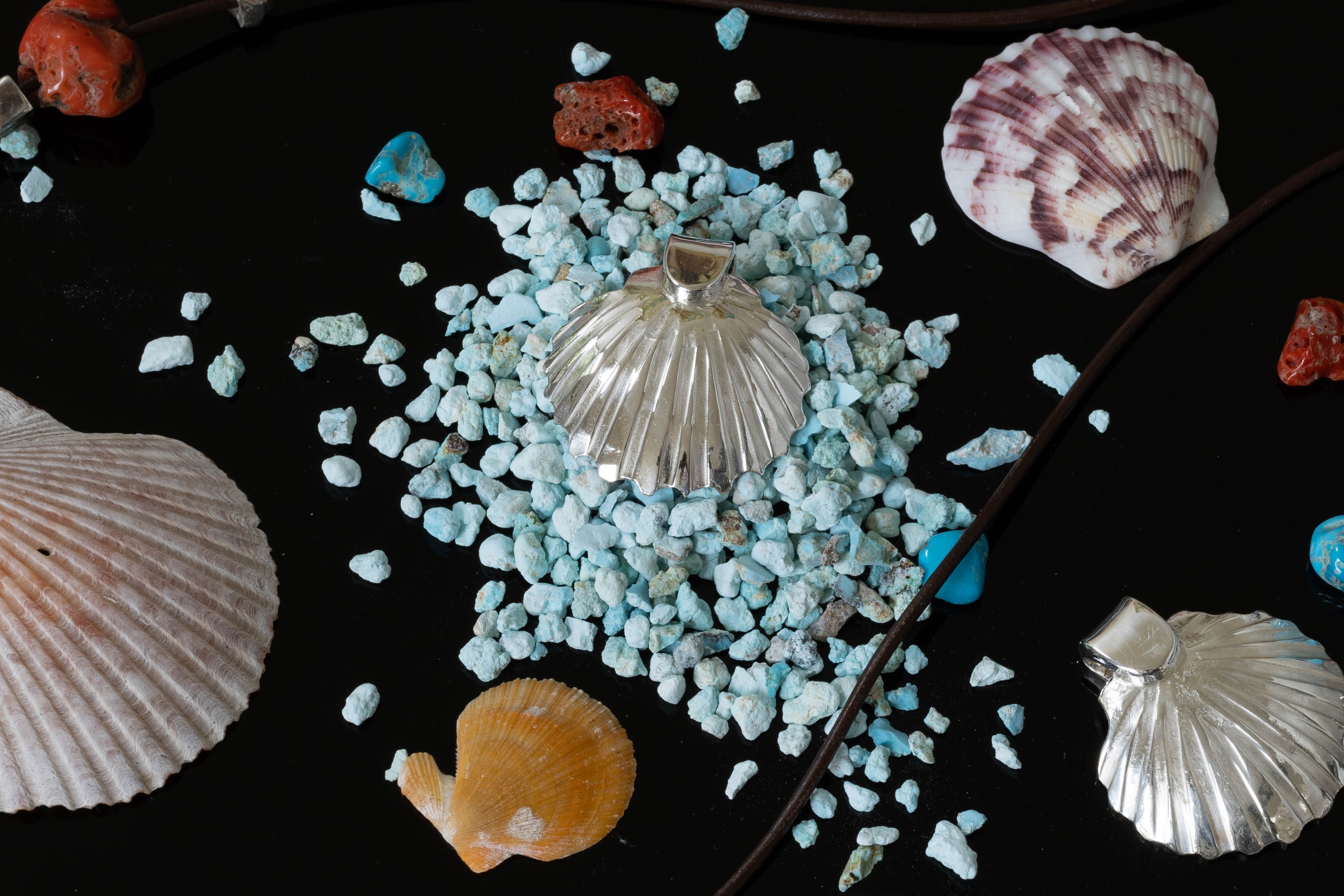 shells